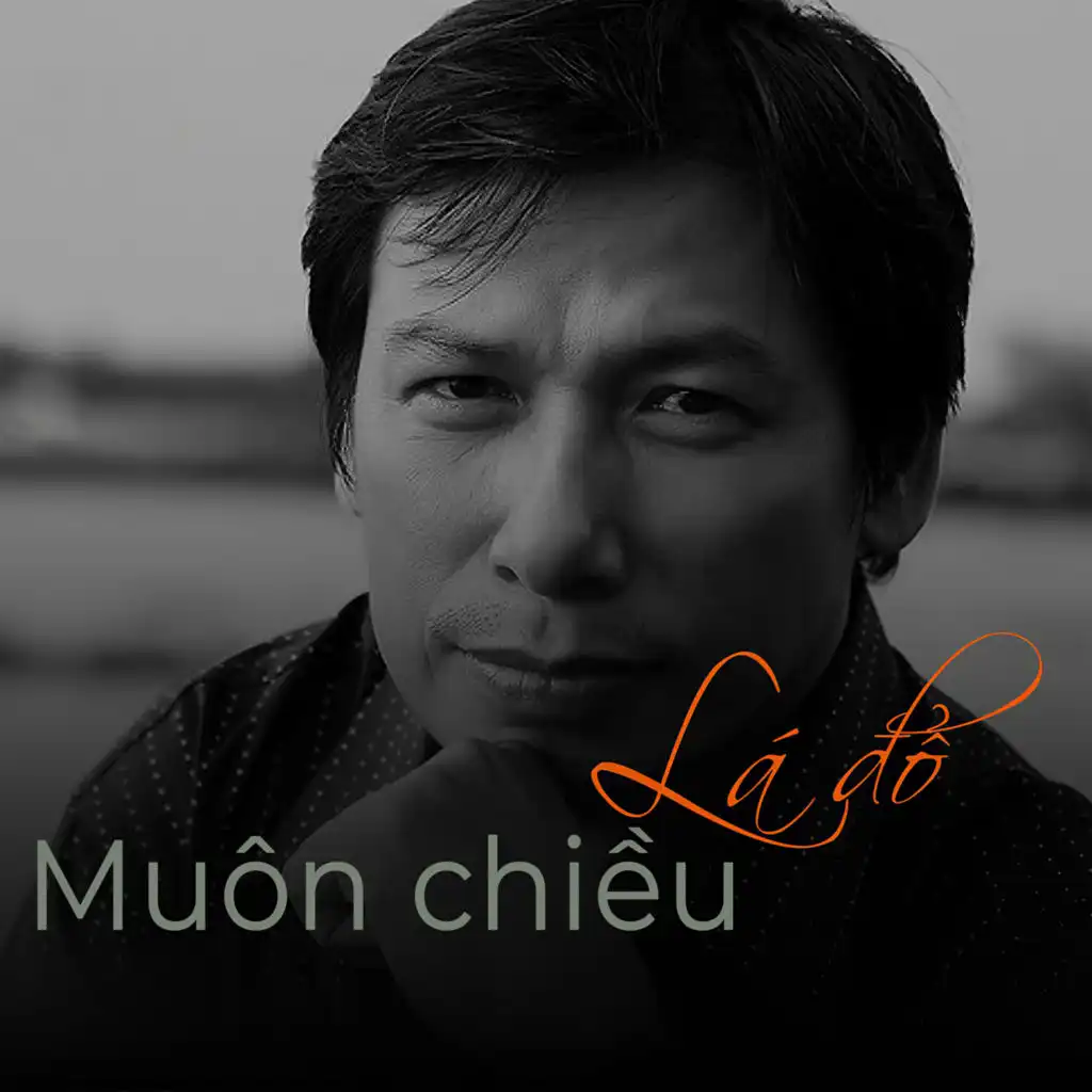 Lá đổ muôn chiều