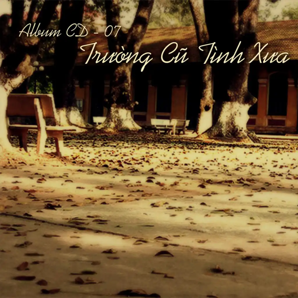 Trường cũ tình xưa