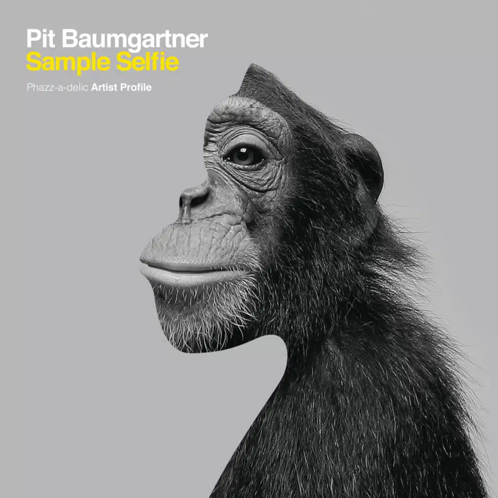Pit Baumgartner