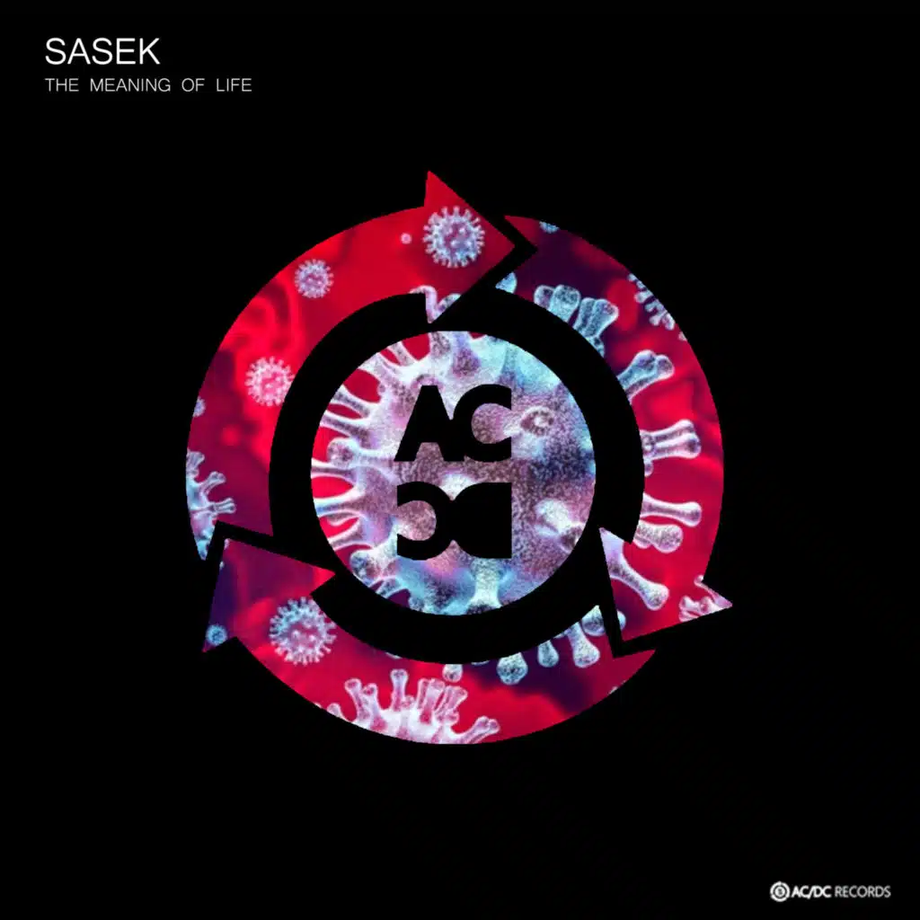 SaseK