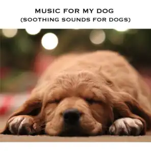 Music For My Dog