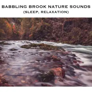 Babbling Brook Noises - Loopable with No Fade