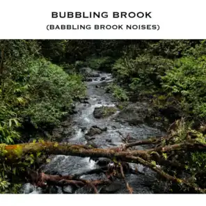 Bubbling Brook (Babbling Brook Noises)