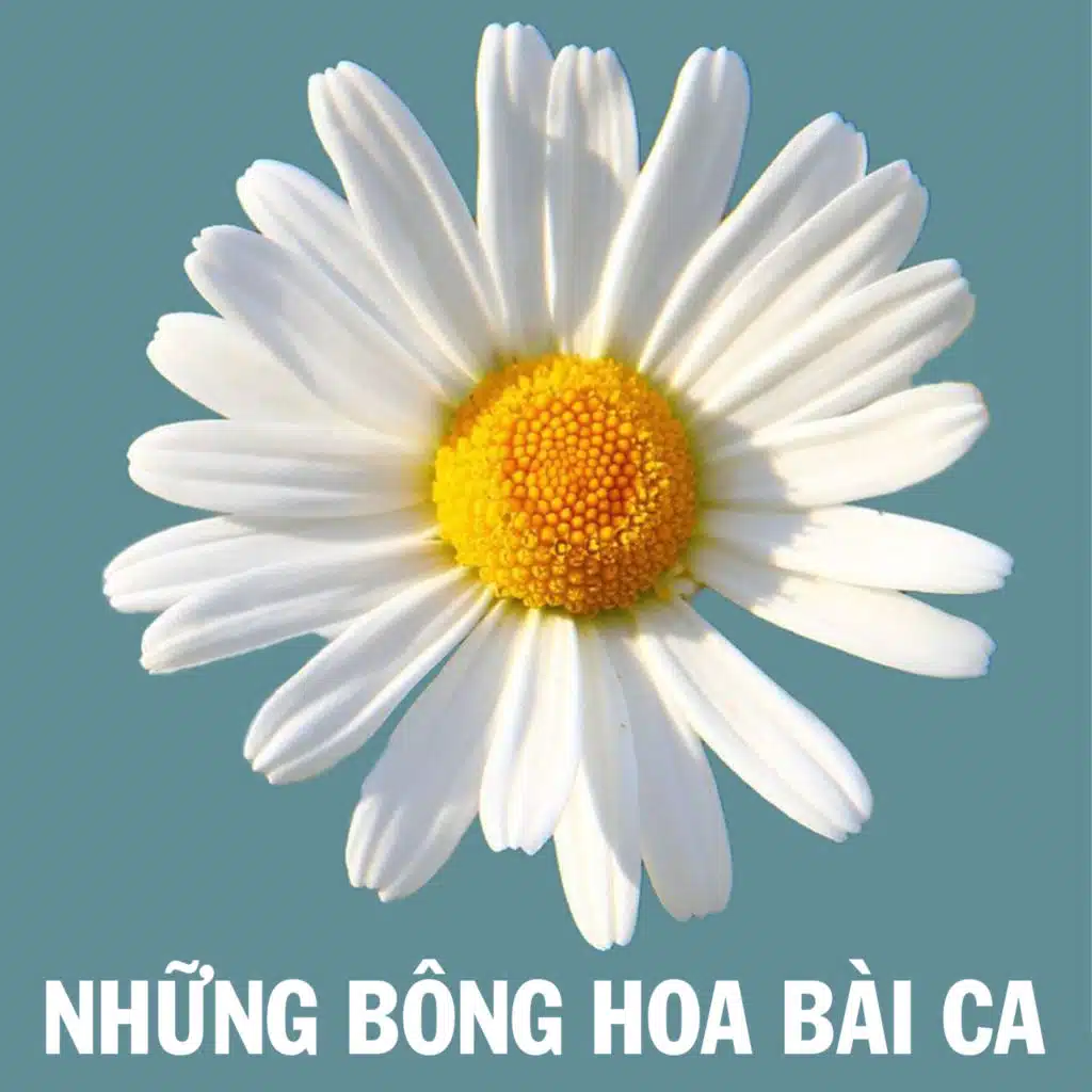 Em yêu màu xanh Phú Yên