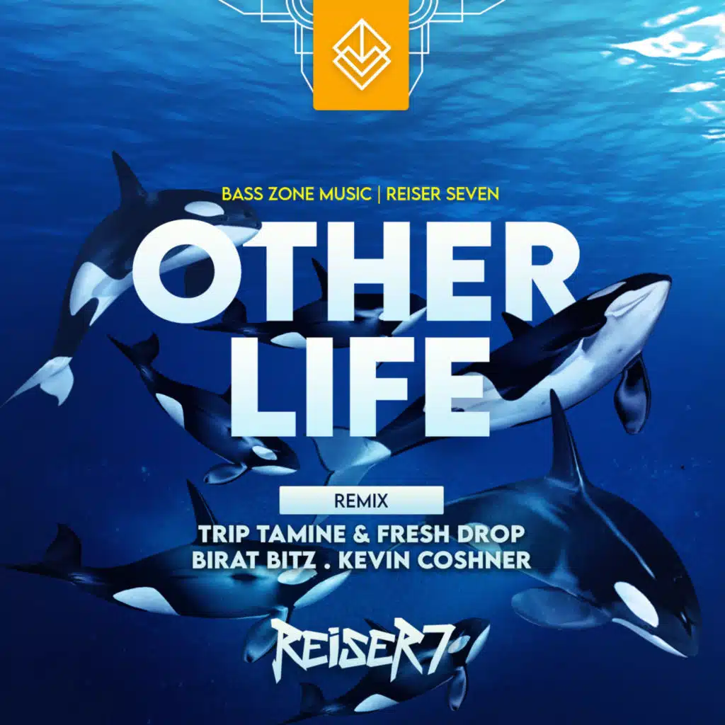 Other Life (Birat Bitz Remix)