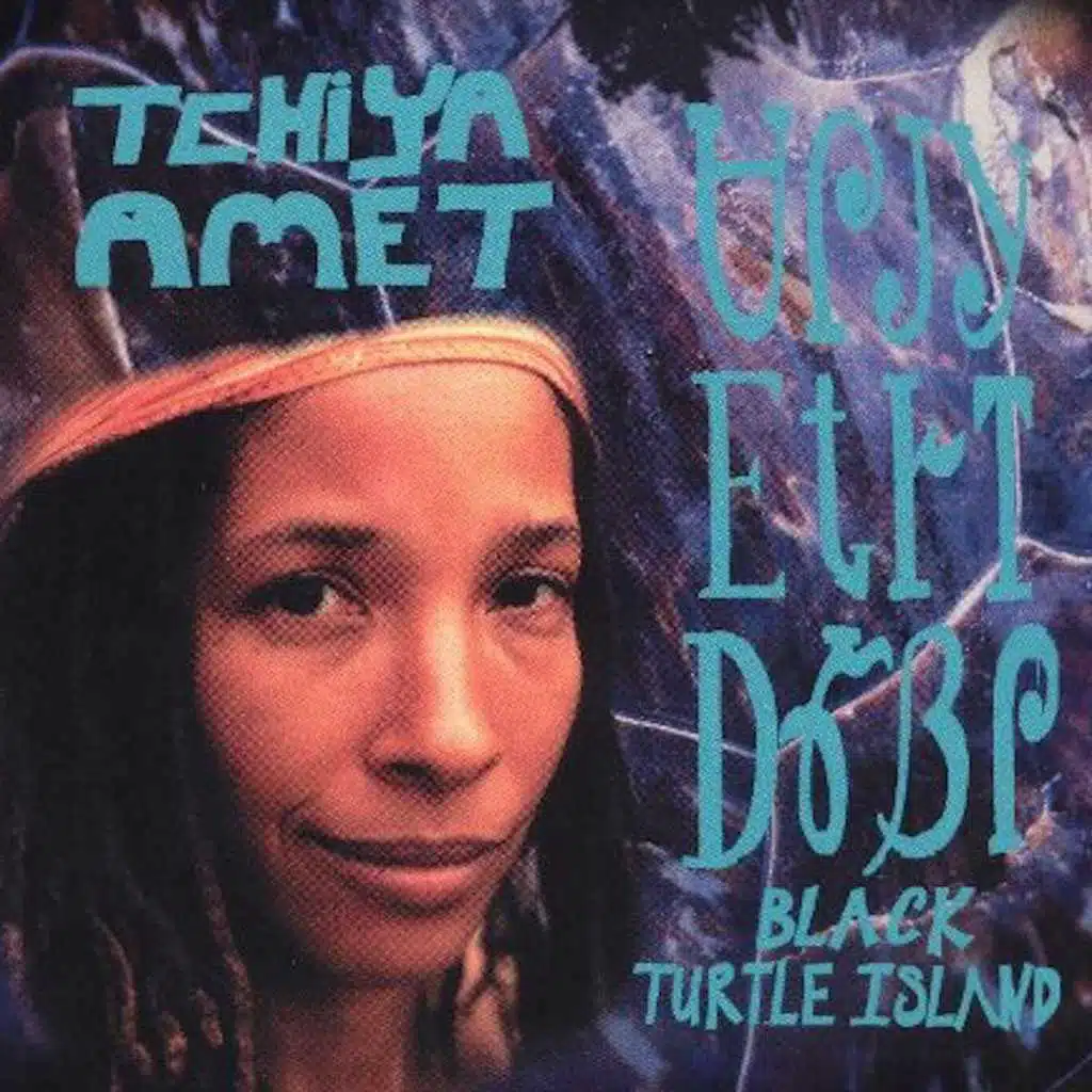 Black Turtle Island