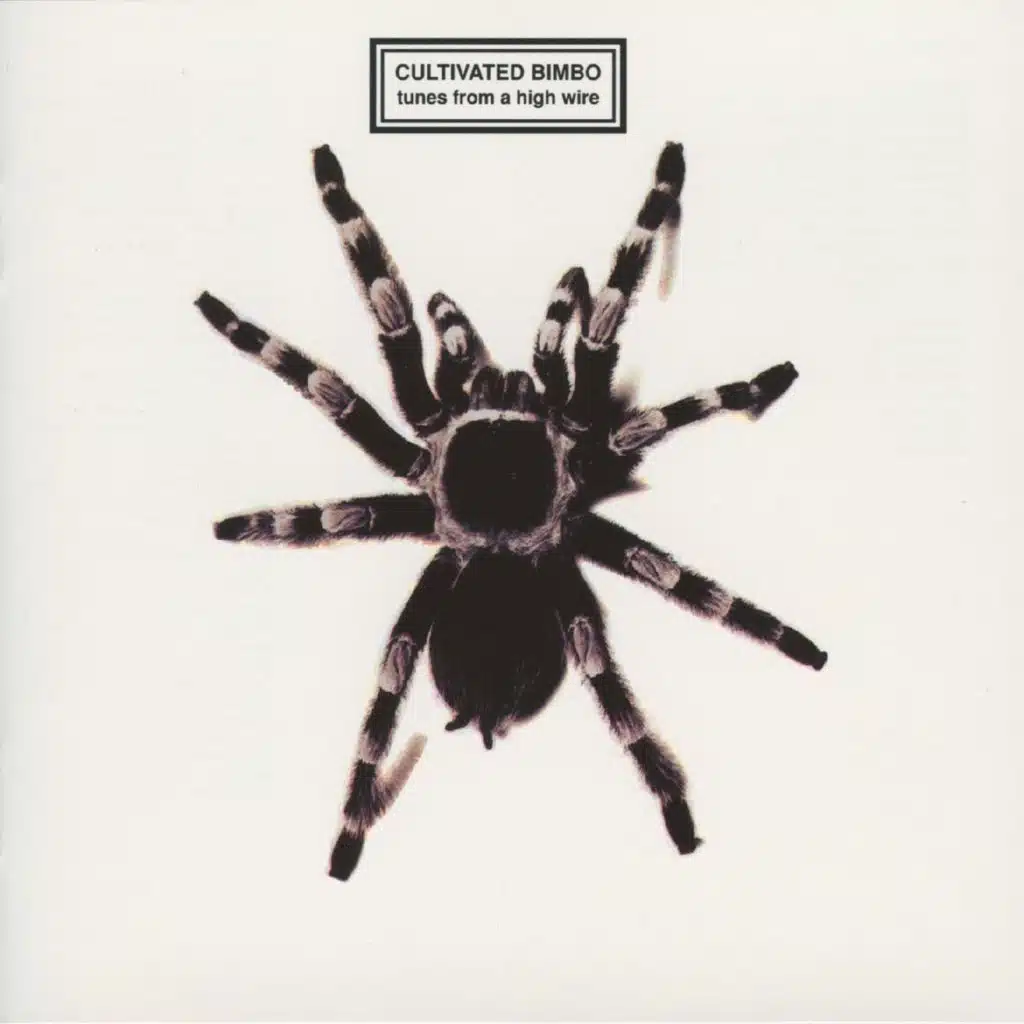 Tunes From a High Wire