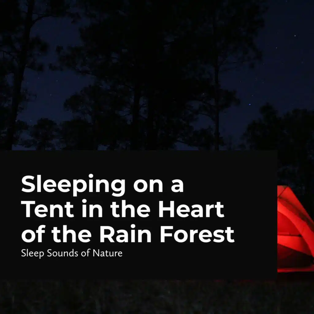 Sleeping on a Tent in the Heart of the Rain Forest