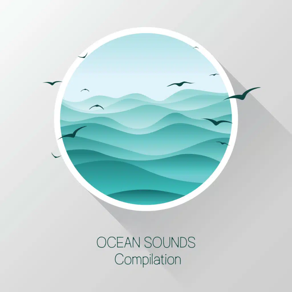 Ocean Sounds Compilation
