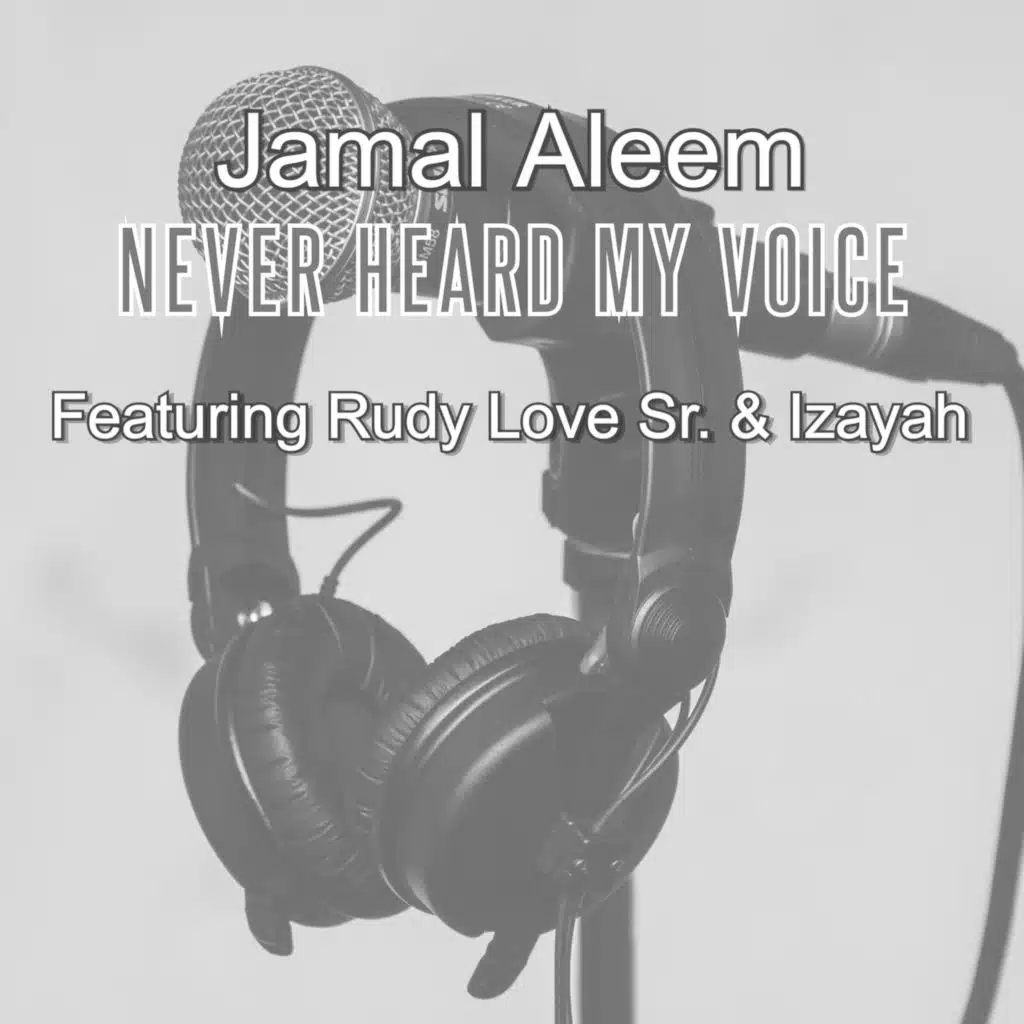 Never Heard My Voice