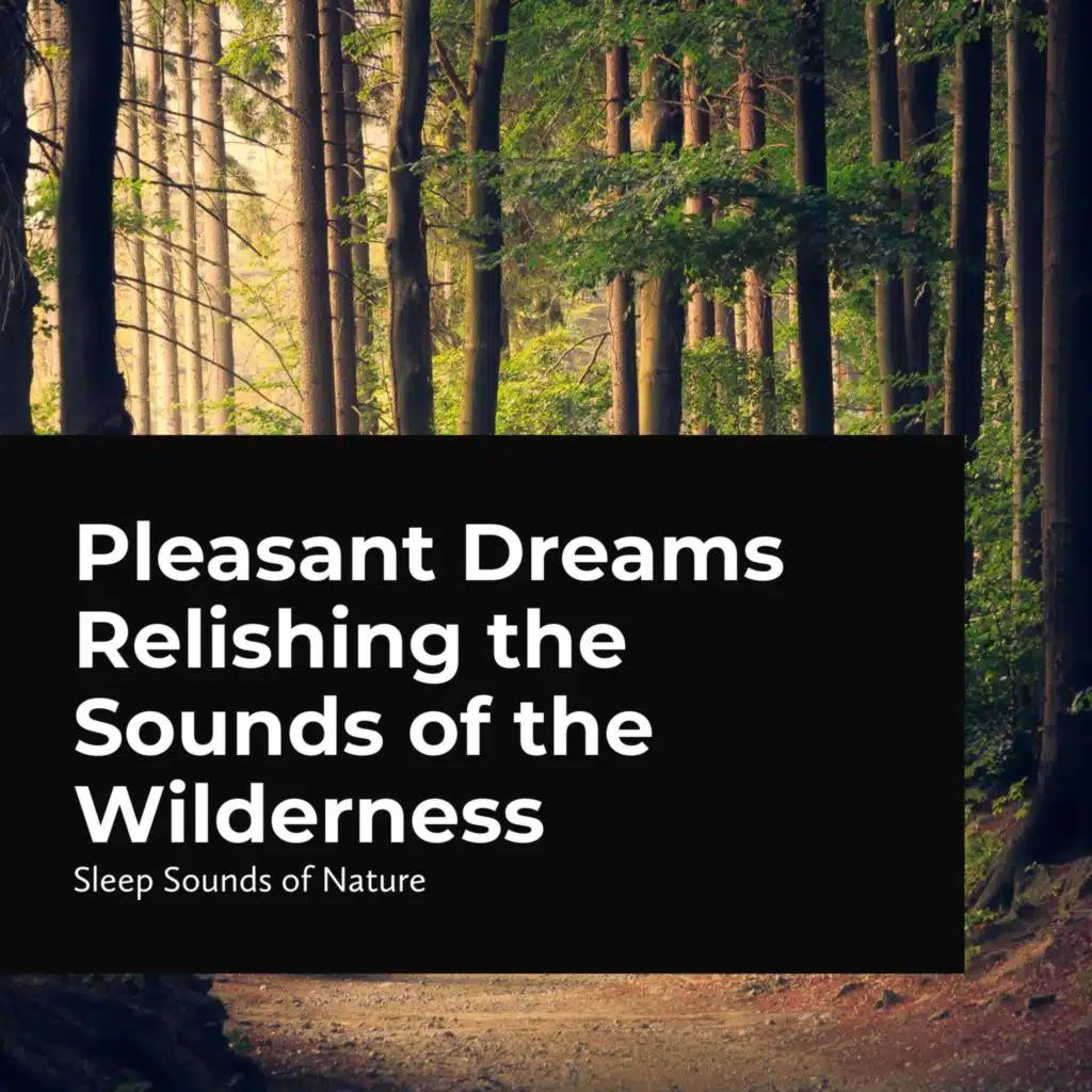 Pleasant Dreams Relishing the Sounds of the Wilderness