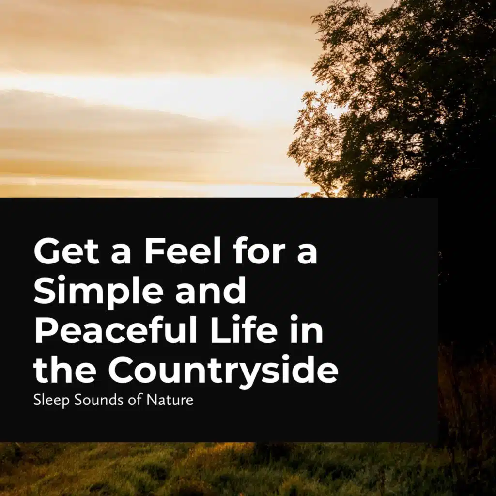 Sleep Sounds of Nature