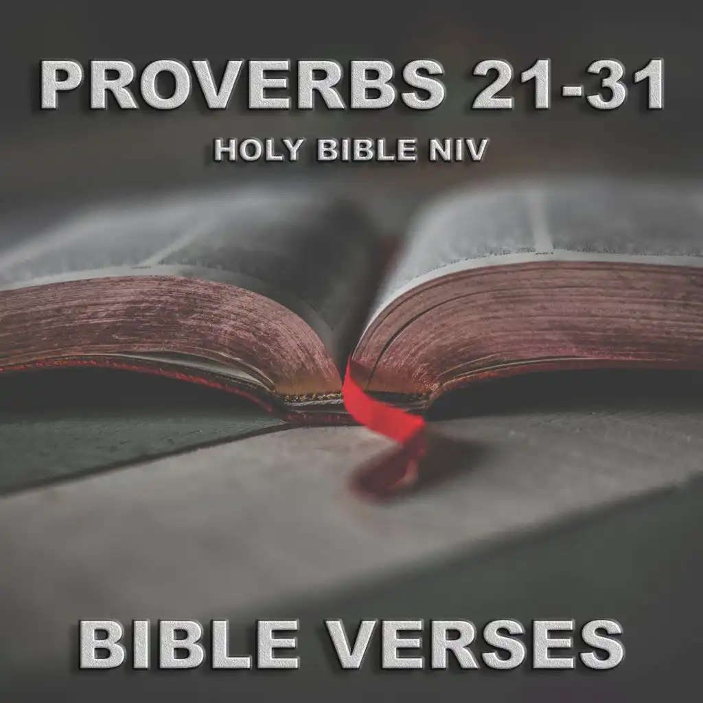 Holy Bible N.I.V. Proverbs 22, Pt. 2