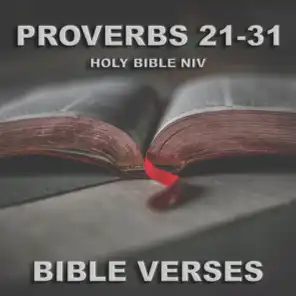 Holy Bible N.I.V. Proverbs 21 -31