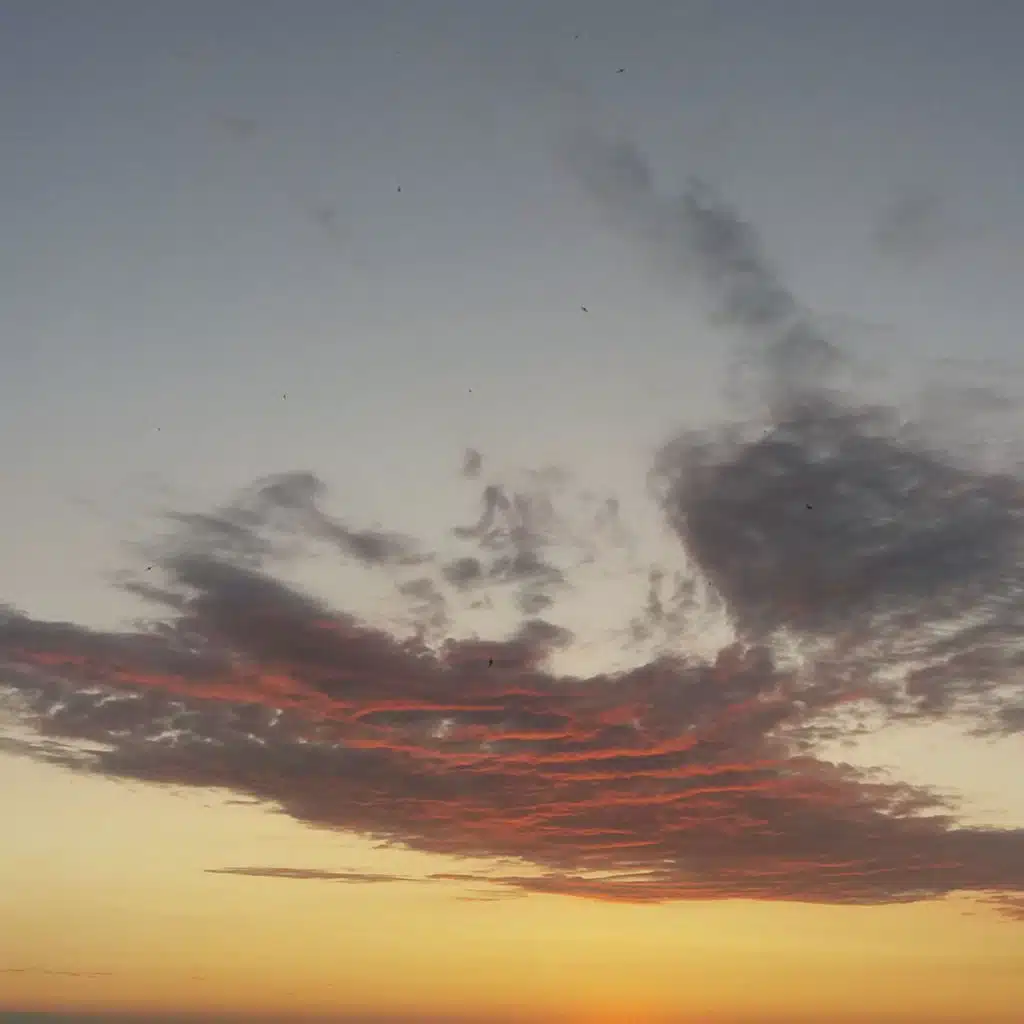 Sunset Fox