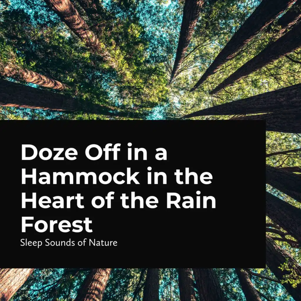 Doze Off in a Hammock in the Heart of the Rain Forest