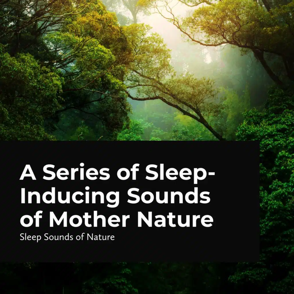 A Series of Sleep-Inducing Sounds of Mother Nature