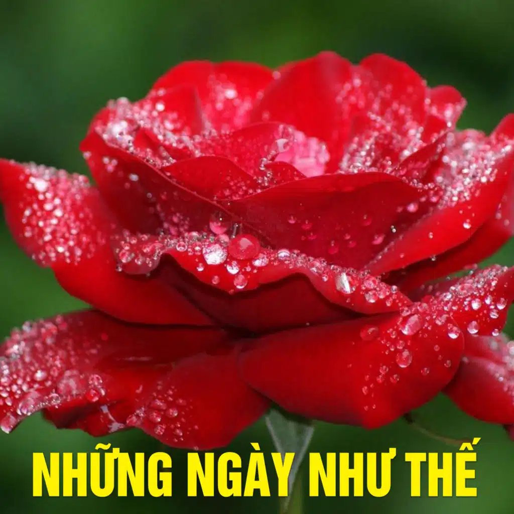 Người đàn bà xa lạ