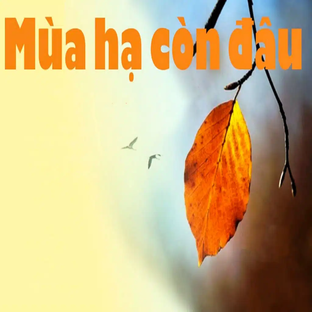 Giọt cà phê