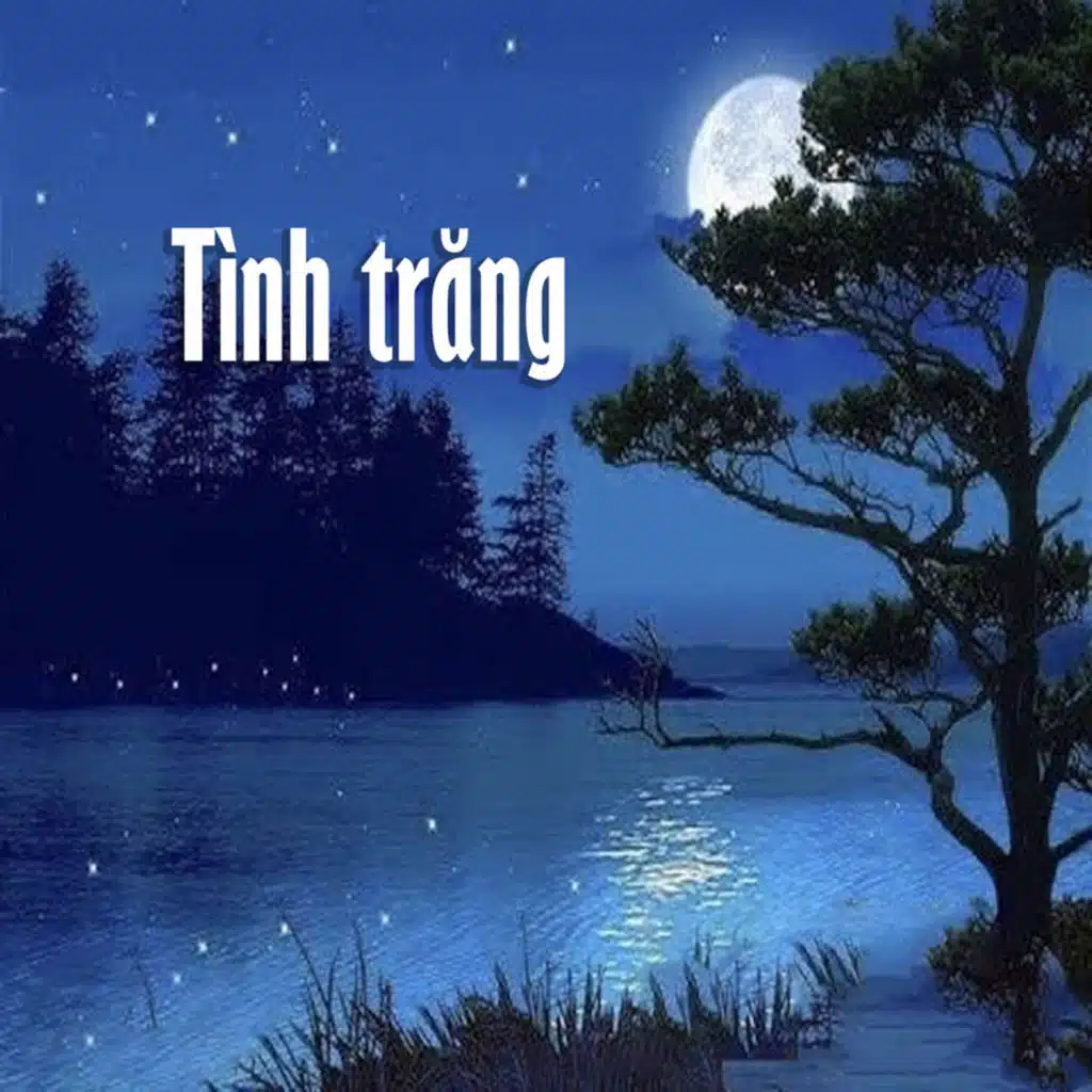 Tôi đứng đây và hát