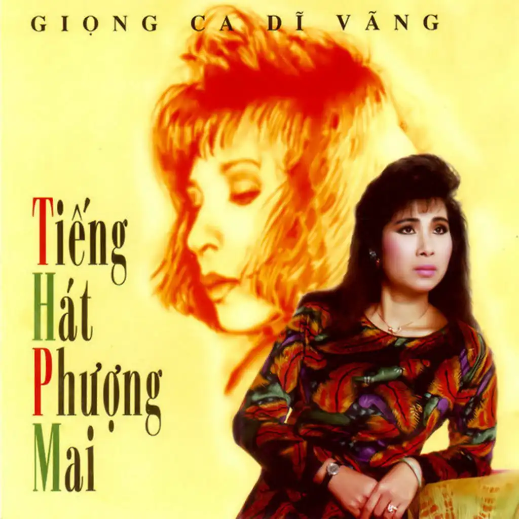 Đồi thông hai mộ