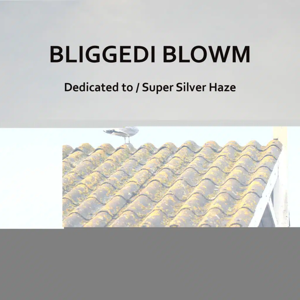 Dedicated to / Super Silver Haze