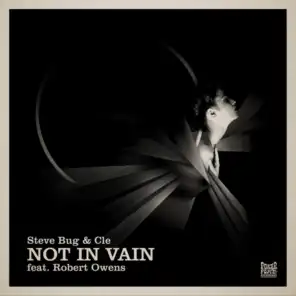 Not in Vain (feat. Robert Owens)