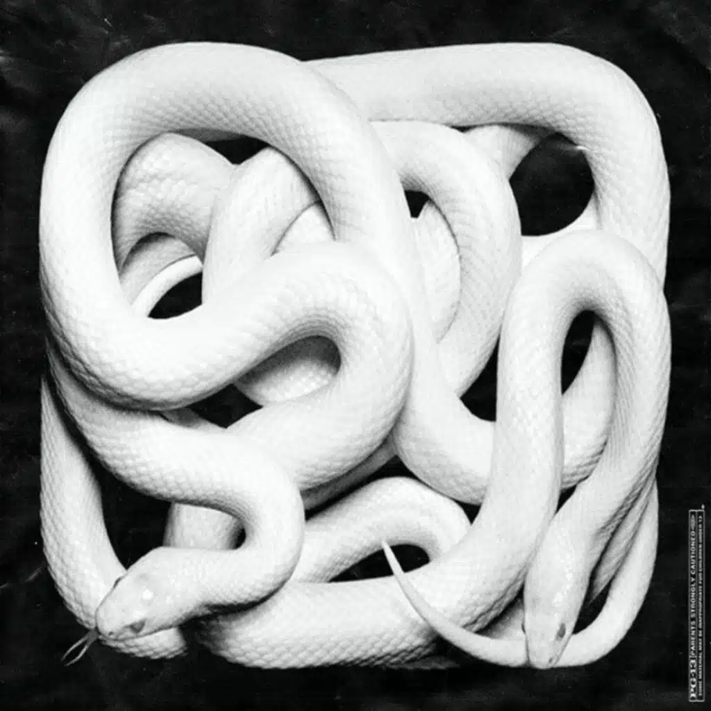 Snakes