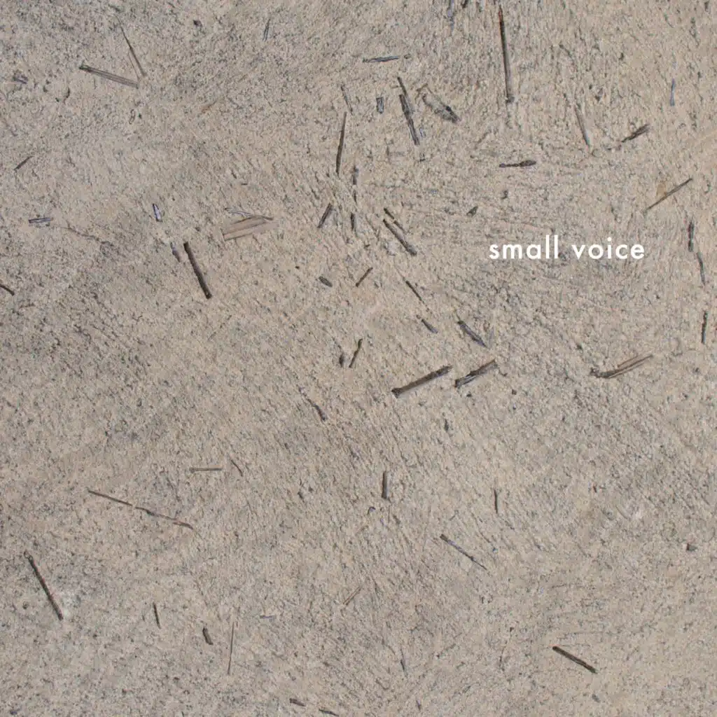 Small voice