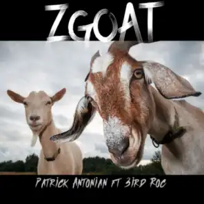 Zgoat (feat. 3ird Roc)