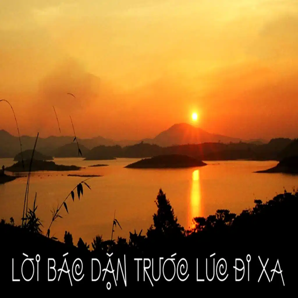 Tiếng hát giữa rừng Pac Bó