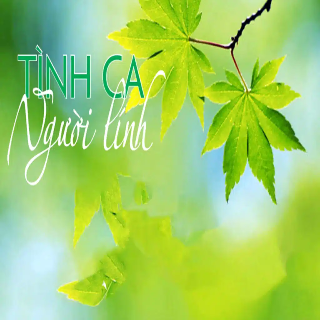 Tình ca người lính