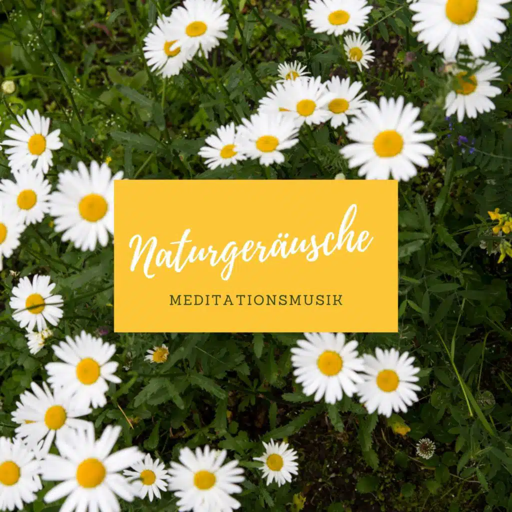 Naturgeräusche Meditationsmusik