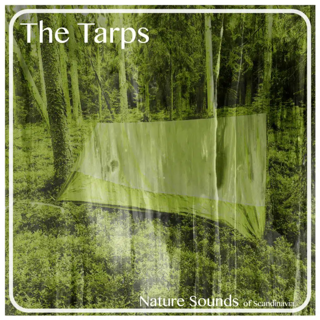 Rain On Tarp II (Loopable)