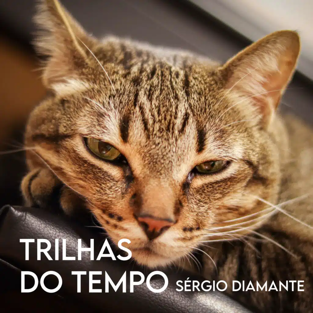 Trilhas do Tempo