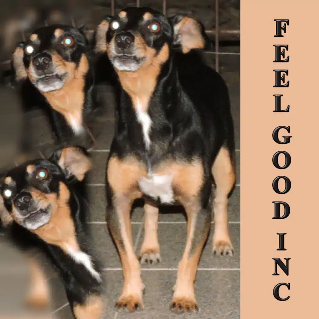 Feel Good Inc (Cover) [feat. Fuzzie]