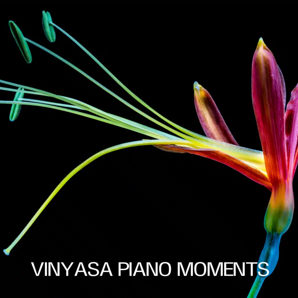 Vinyasa Piano Moments