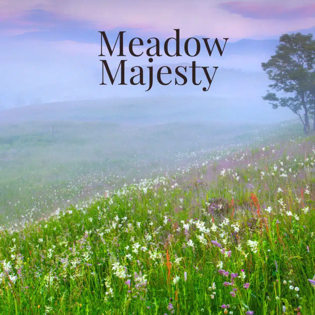 Meadow Majesty