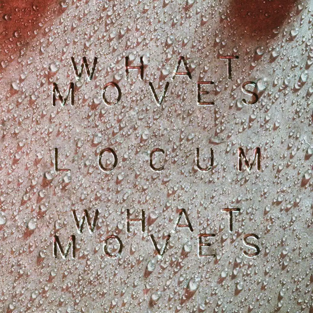 What Moves (Locum Edit)