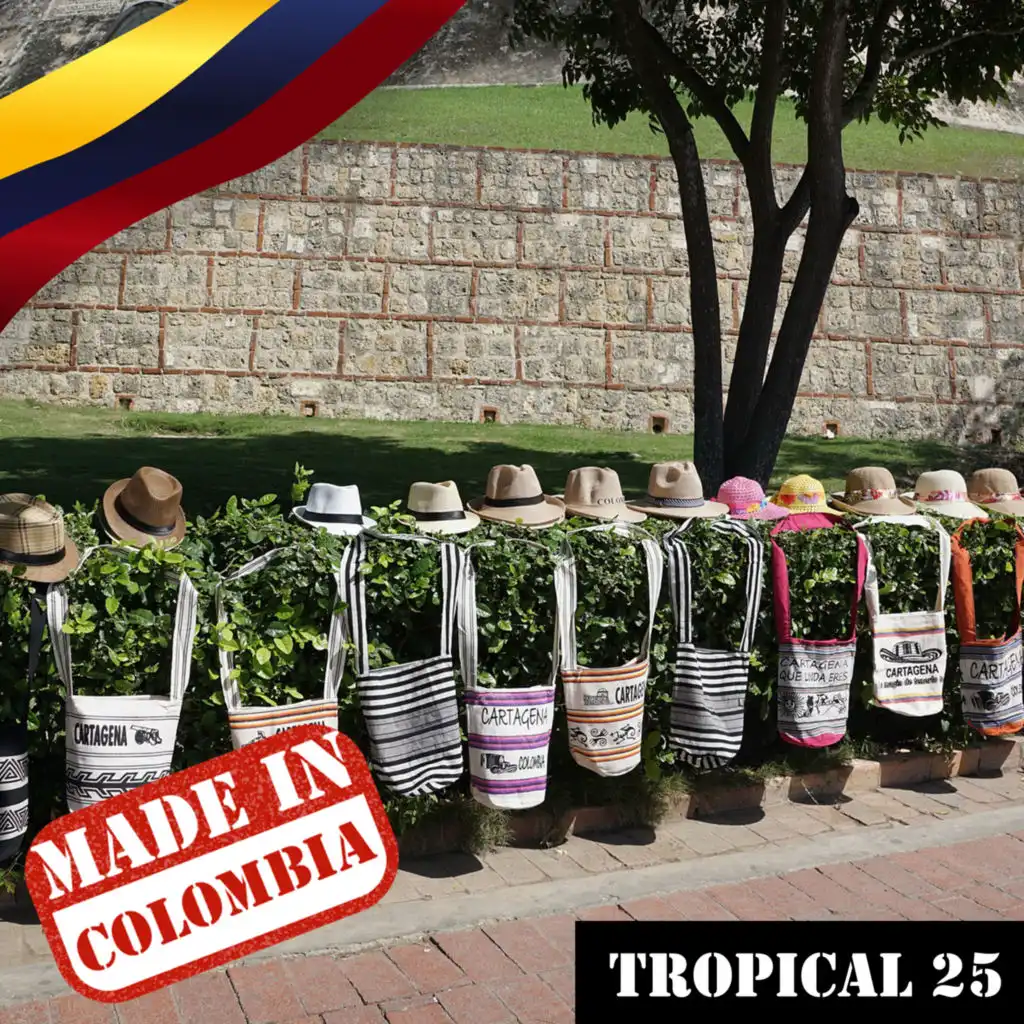 Made In Colombia: Tropical, Vol. 25
