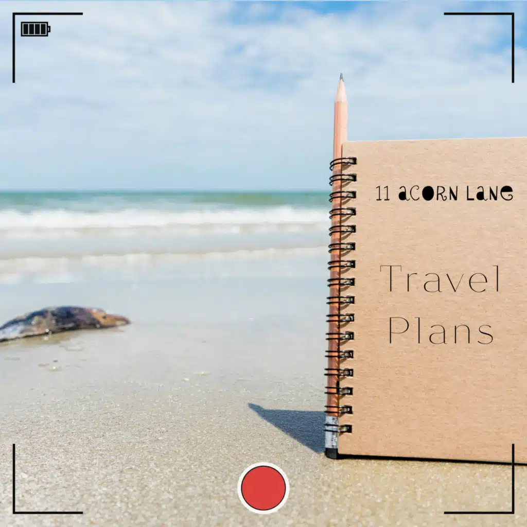 Travel Plans