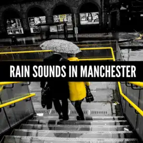 Rain Sound FX