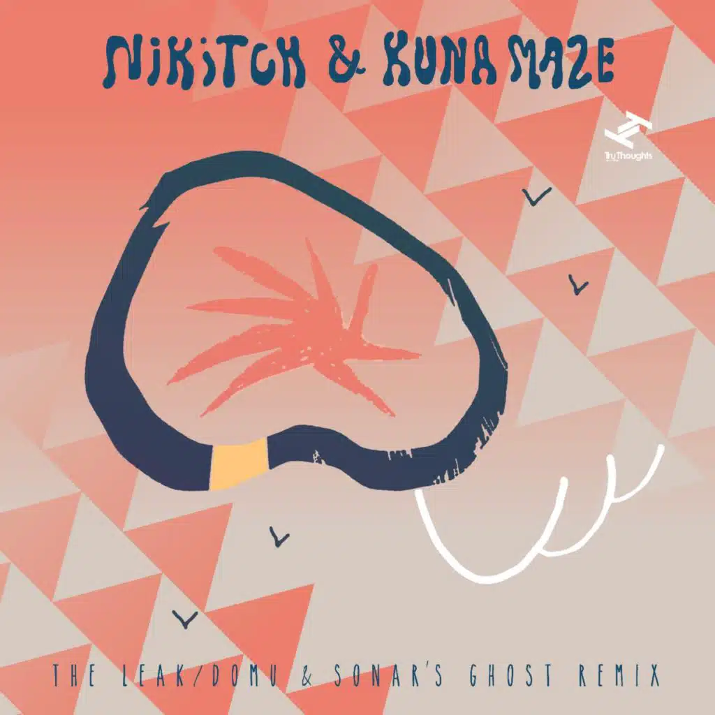 The Leak (Sonar's Ghost Remix) [feat. Sonar Ghost]