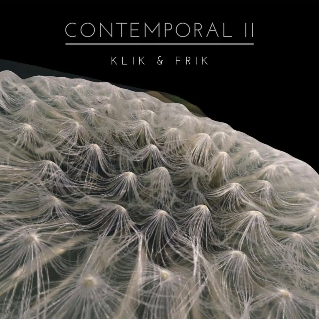 Contemporal II