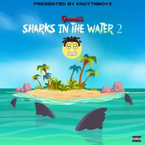 Sharks in the Water 2