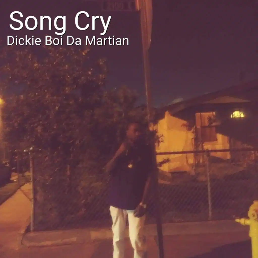 Song Cry