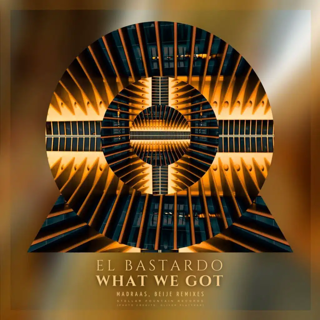 What We Got (Madraas Radio Edit) [feat. Bibi Sanchez]