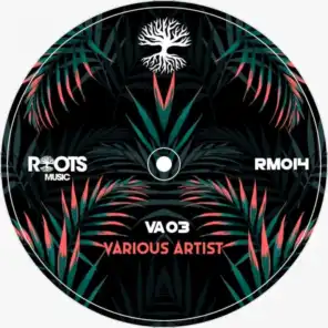 Roots VA 03