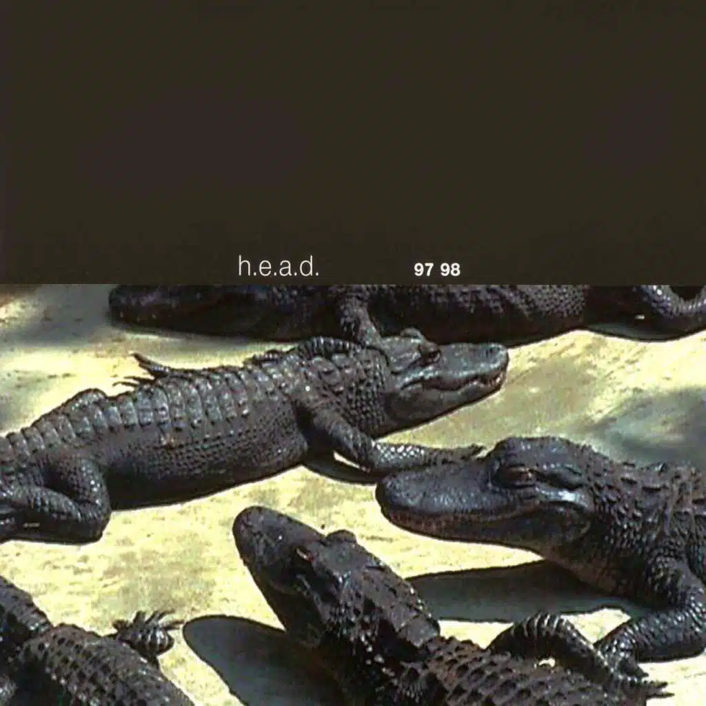 Welcome Illegal Immigrants (Special Radio Version)