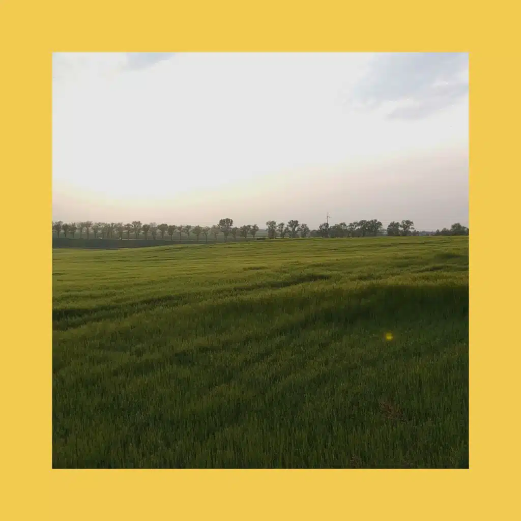 Blossom EP